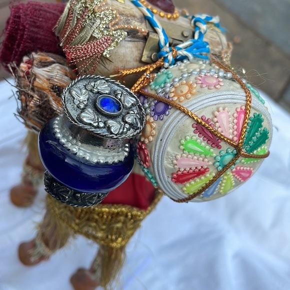 Camel from India - Picture 4 of 15